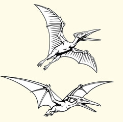 line art illustration set of flying Pteranodon pterosaurs with spread wings. © harrisaputra