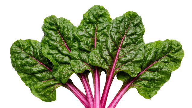 Vibrant green swiss chard leaves with bright pink stems, isolated on transparent background