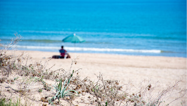 Dunas con vegetaci&oacute;n seca en primer plano; una persona bajo una sombrilla verde junto al mar calmo crea un contraste &iacute;ntimo entre lo salvaje y lo cotidiano.