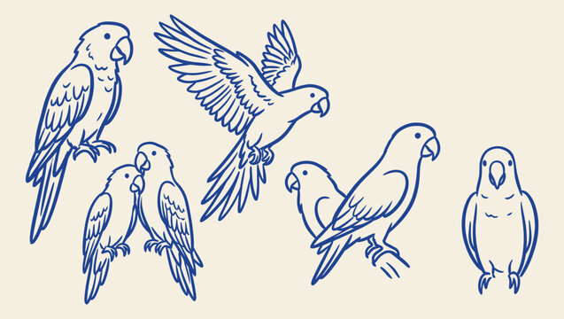 Cute vector illustration set of colorful parrots and macaws in various poses in blue outline