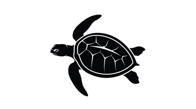 turtle vector illustration