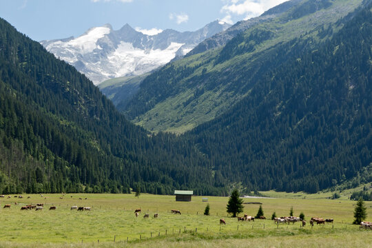 Wildgerlostal in &Ouml;sterreich mit Gletscher