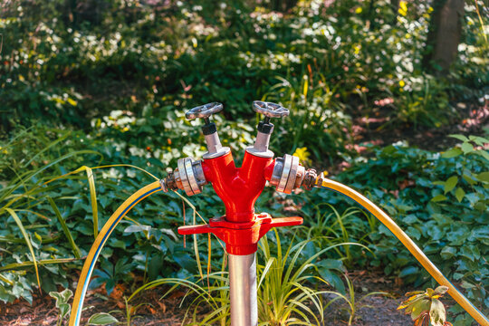 A bright red twin outlet water valve on a metal standpipe connects two yellow hoses for irrigation in a densely planted garden.