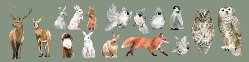 Fototapeta premium Vector illustration of various animals, including deer, rabbits, fox, and birds.