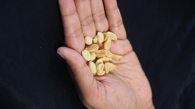 Hand holding roasted peanuts on black background close up slow motion eating snack.