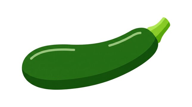 Single fresh green zucchini vegetable isolated on a white background for culinary design