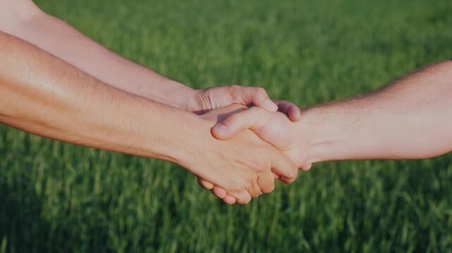 Two business people shaking hands in green field to finalize agricultural agreement or partnership.