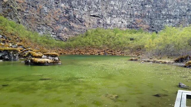 Botnstjorn pond at the head of Asbyrgi canyon, Iceland, green water and mossy rocks below high basalt cliffs and birch trees, in Vatnajokull National Park.