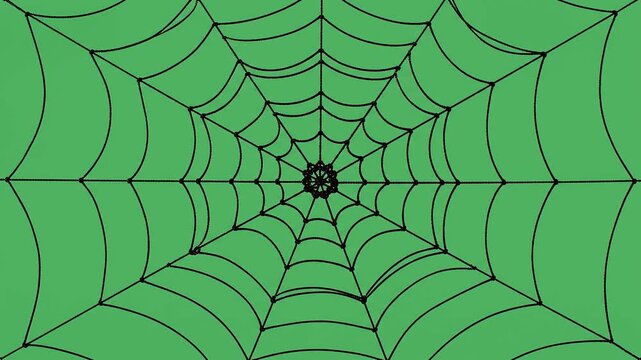 Spiderweb graphic green background spooky calm design vector pattern texture line art horror scary symbol insect trap halloween dark nature network