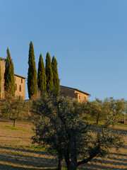Obraz premium beautiful view of the countryside around siena in tuscany