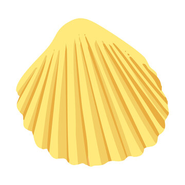 Seashell Icon Coastal Summer Design