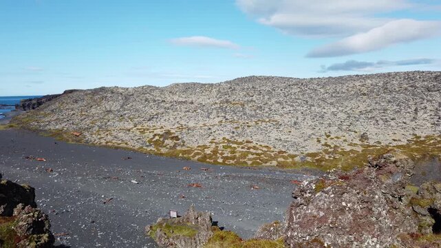 Moss-covered lava field and a black sand beach opening to the blue sea on the Snaefellsnes peninsula, Iceland, with rough lava rocks in the foreground.