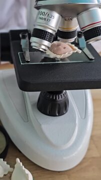 Microscope observation of biological samples in a laboratory setting