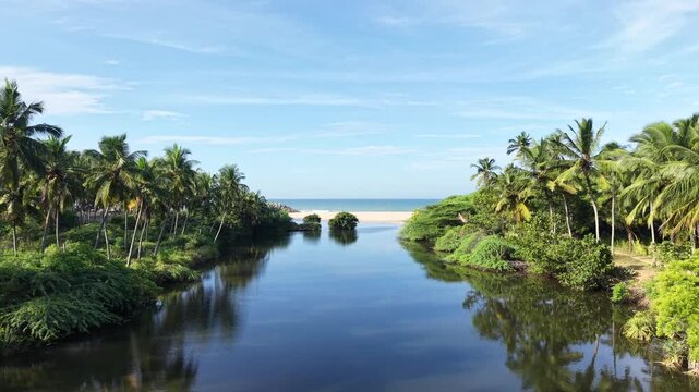Aerial View of Poovar Beach and Backwater Confluence Kerala India