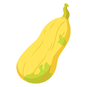 Yellow Squash With Leaf