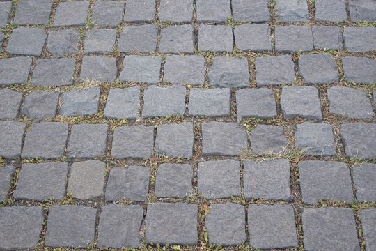 Gray cobblestone pavement with small weeds and grass growing between weathered square stones