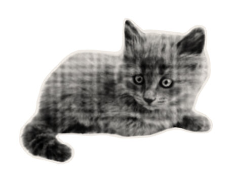 Fluffy kitten. Small pet. Vintage halftone style paper sticker for collage design, greeting cards, posters or magazines. Vector.