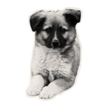 Fluffy puppy. Young pet. Purebred dog on a torn piece of paper for a collage. Pet sticker.