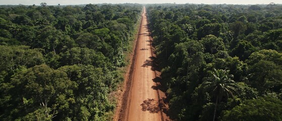 Obraz premium An aerial drone perspective of a straight red dirt road bisecting a dense tropical rainforest under bright daylight, suitable for environmental and adventure travel backgrounds.