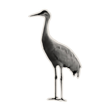 Stork sticker. Long-legged crane. Paper cutout of a heron. Halftone style vector illustration for magazine designs, educational materials, greeting cards, posters, and banners.