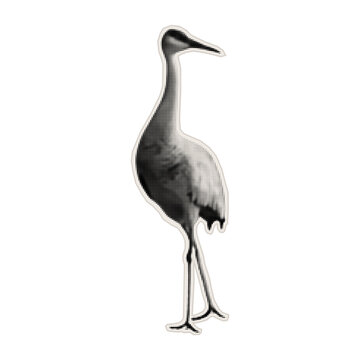 Stork, crane, or heron. A long-legged bird. Paper cutout of the bird. Vector illustration with stipple texture.