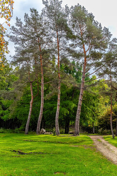 Gardens of Chateau de Dampierre