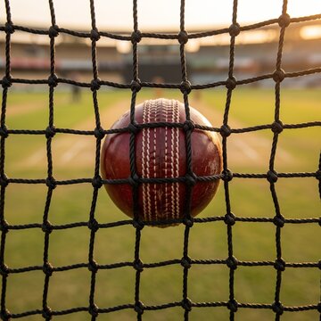 Cricket Ball Inside Professional Practice Net