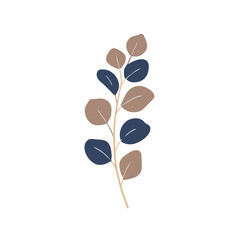 Obraz premium Eucalyptus branch with leaves