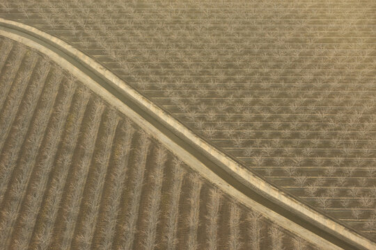 Aerial view of an orchard with rows of bare trees divided by a concrete irrigation canal in Fresno, California, United States.
