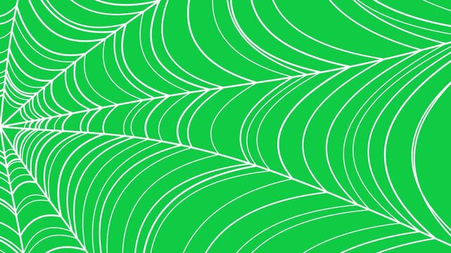 Seamless loop animation of a white spider web spinning in slow motion on green screen, ideal for Halloween reels, spooky stories, horror intros, cinematic overlays, mobile video content