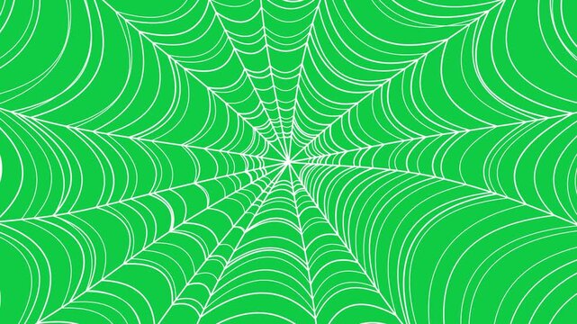 Seamless loop animation of a white spider web spinning in slow motion on green screen, ideal for Halloween reels, spooky stories, horror intros, cinematic overlays, mobile video content