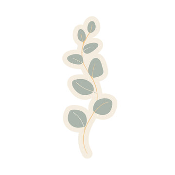 Stylized eucalyptus branch with leaves