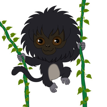 Cute black monkey hanging on jungle vines flat vector illustration