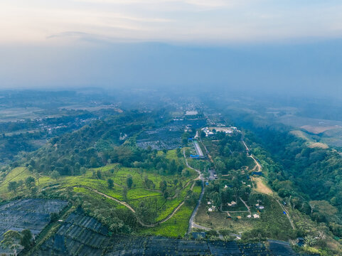 Aerial view of Goalpara Tea Park featuring lush green tea plantations, winding paths, and rolling hills under a soft sky in Kecamatan Sukaraja, Jawa Barat, Indonesia.