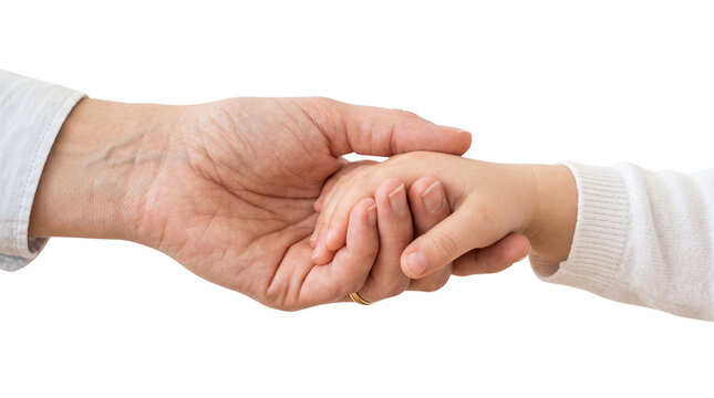 Gentle adult hand holding child hand with love and care, tender family support concept, compassionate parenting and protection gesture isolated PNG with Transparent Background
