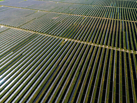 Aerial view of Limondale Solar Farm with rows of photovoltaic panels arranged in a vast field in Balranald, New South Wales, Australia.