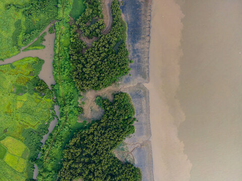 Aerial view of lush mangroves and wetlands bordering the muddy coastline in Thane, Maharashtra, India.