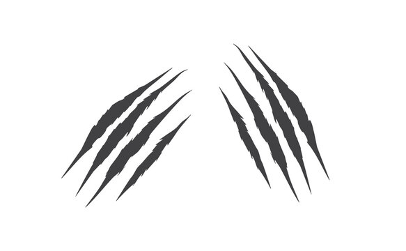 Animal claw scratch mark slash illustration on white background. Dark beast tiger bear talon rip tear grunge effect for horror and wild design. Isolated flat vector illustration graphic art element.