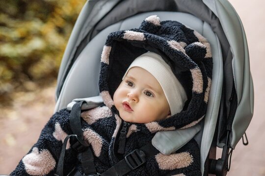 Baby sitting in stroller during autumn outdoor walk