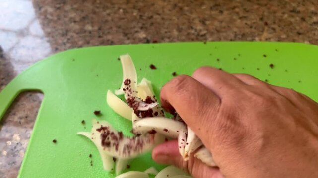 Preparing Sliced Onions with Sumac for Cooking
