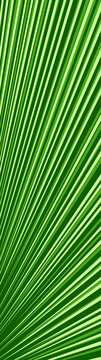 Modern vertical background featuring dynamic lines, creative perspective, geometric depth, and futuristic visual movement.
