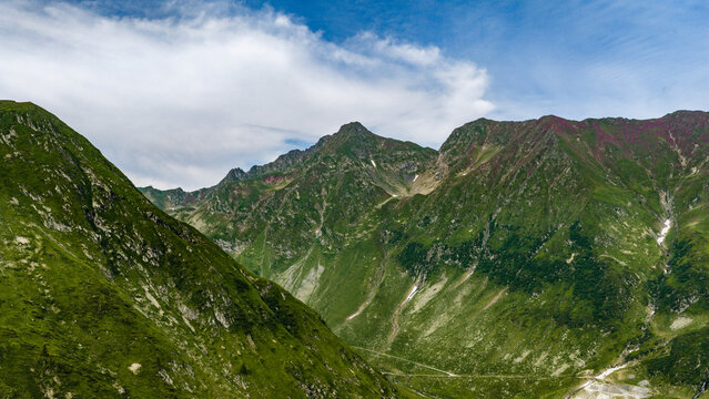 Aerial view of the Transfagarasan mountain pass winding through the lush green peaks of the Carpathian Mountains in Curtea de Arges, Arges County, Romania.