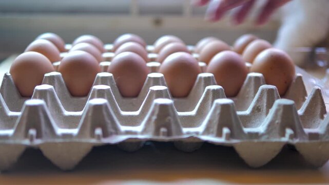 Close up hand of person picking a fresh brown chicken egg from an egg tray preparing for the food