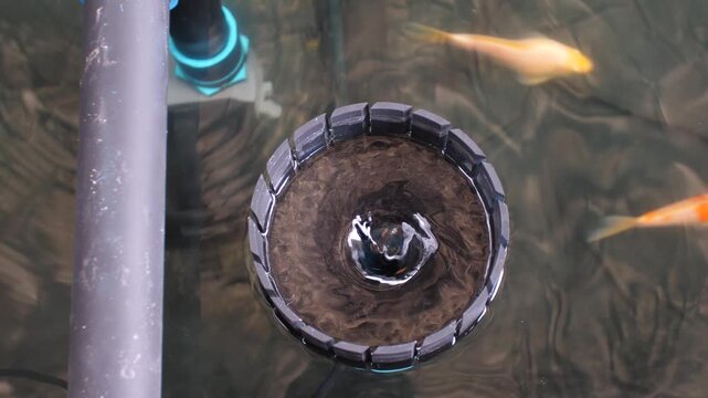 The koi pond skimmer is pumping water in a spinning motion. Water surface treatment and fish care concept
