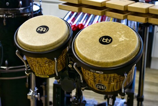 A pair of professional bongo drums with natural skin heads mounted on a sturdy metal drum stand