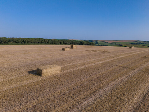 Aerial view of freshly harvested agricultural fields with straw bales scattered across the landscape, bordered by green hedgerows and rolling hills in Looe, Cornwall, United Kingdom.