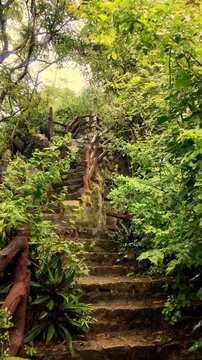 Low angle view of stone staircase surrounded by dense foliage at Marble Mountains in Da Nang, Vietnam