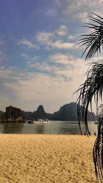 Eye level view of palm fronds framing a sandy beach with island rocks during daytime in Ha Long Bay, Vietnam
