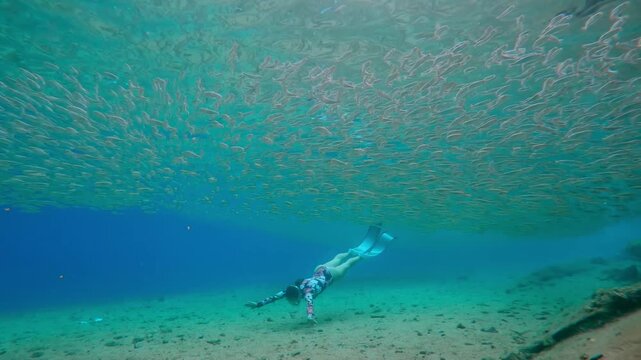 Young woman in freediving fins swims over sandy bottom under unbroken ribbon of Atherina fish. Girl diver as she traverses coastal area during peak spawning migration