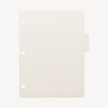 Blank tabbed divider with holes.